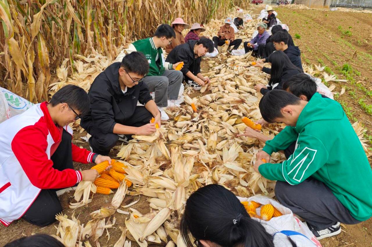 太阳成集团tyc151cc