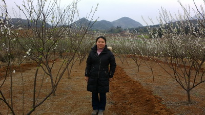 太阳成集团tyc151cc