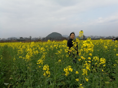 太阳成集团tyc151cc